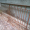 Wrought iron fence