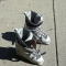Downhill Skis, Poles, Boots