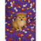Pomeranian-Justyn-Male