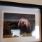 Selection of art for sale