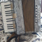 Piano Accordion