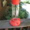 Oriole Bird Feeder