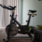 Sunny exercise bike