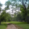 $29,000 Land For Sale - Conroe -45 North/FM 1488