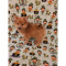 Pomeranian- Jimmy-Male