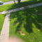 Wanted yard to mow