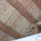 Tongue and Groove Knotty Pine