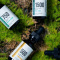 Hempworx CB&D Oil for Health and Wellness