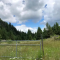Bubar creek acreage in Rock Creek