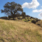 20-Acre Basalt Lode Mining Claim For Sale.