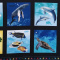 Fabric Cotton Panel Sea Life, Flora and Fauna