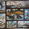 FABRIC Picture Panel Ducks