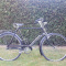 1979 Raleigh Tourist