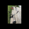 Stihl brush cutter
