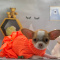 Cute Chihuahua Puppy For Sale