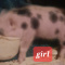 Jullianne piglets