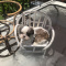 Shih-Tzu puppies