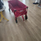 Folding Wagon, Strong, Brand New, Coleman Make
