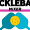 Pickleball Mixer for Single Professionals