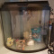 Fish Tank with Accessories