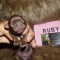 Shih Tzu Puppies four females