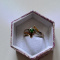 14k Yellow Gold 0.25ct Diamond Jadeite Jade Solitaire Engagement