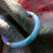 Vintage jadeite and gold bangle bracelet