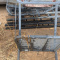 Big Game Hunter HD 2.5 Ladder stand with extras