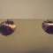 **14K Yellow Gold PETITE CLAMSHELL Stud EARRINGS**