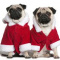 ROYAL CANADIAN LEGION #91 LA CHRISTMAS CRAFT FAIR AND TEA Nov 16