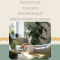 Starting your online business