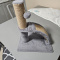 Brand New Cat Scratching Post For Sale