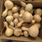Gourds Small And Large