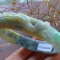 Certified Natural A JADE Jadeite Dragon Phoenix Bangle Bracelet