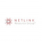 Netlink Resource Group CMS Integration Services & Custom API