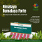 Himalaya Rumalaya Forte - Best Ayurvedic Tablets for Joint Pain
