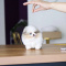 Teacup Pomeranian Puppy