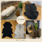 Premium curly Gotland Sheepskins