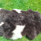 Premium Swedish Sheepskins