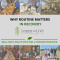 Why Routine Matters in Recovery