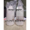 Buy GBL (GAMMA-BUTYROLACTONE) 99.9% Alloy