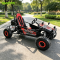 Off‑Road Go‑Kart Electric 1-3KW & Gas 125-150CC Versions