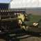 DEGELMAN ROCK PICKER FOR SALE
