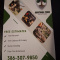 Sentinel Tree Solutions